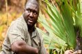 Nonso Anozie - Zoo Cast Member